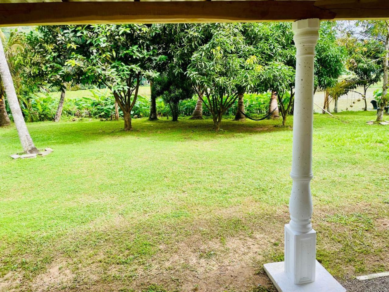 Secret Garden Mirissa Villa Eksteriør billede