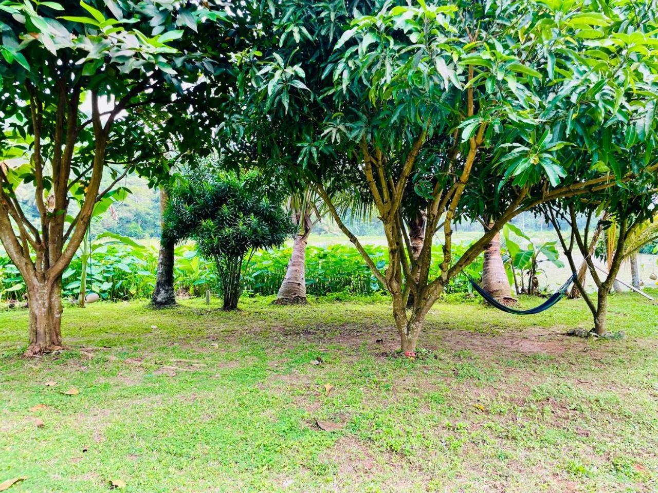 Secret Garden Mirissa Villa Eksteriør billede